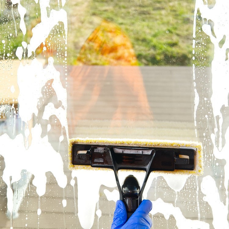 Window Cleaning (4)